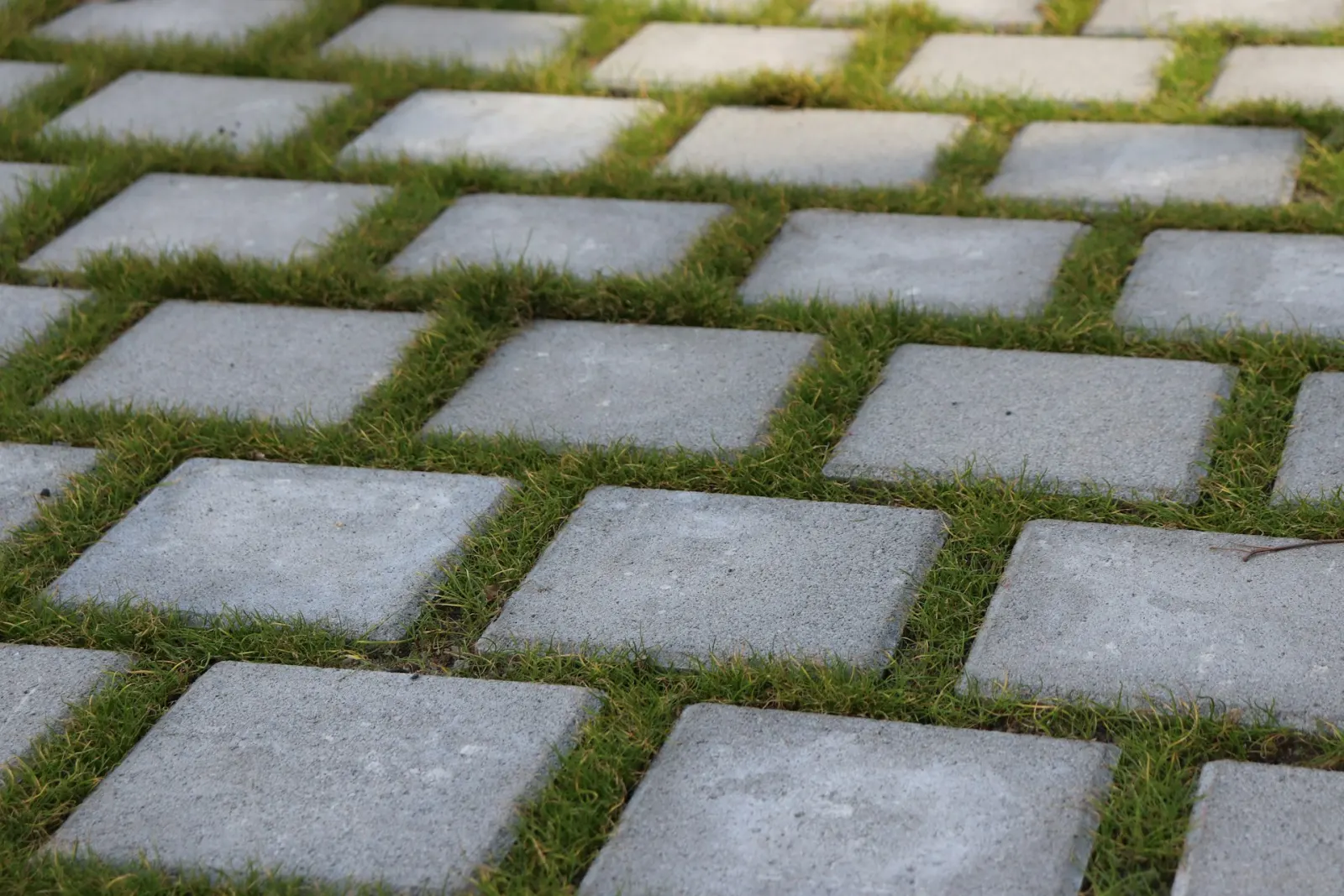 Large-format garden pavers set between strips of grass