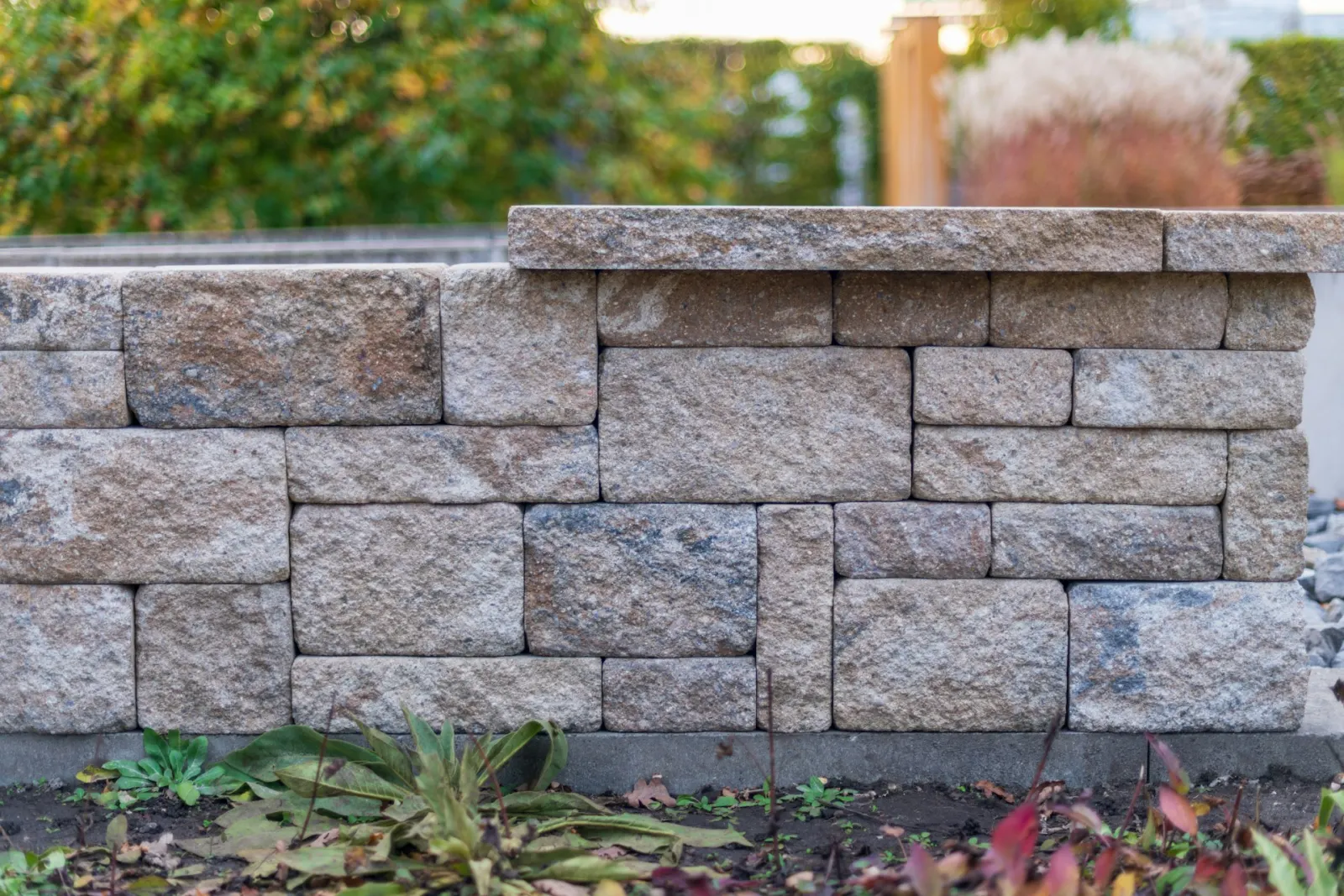A landscaped garden with a structured retaining wall