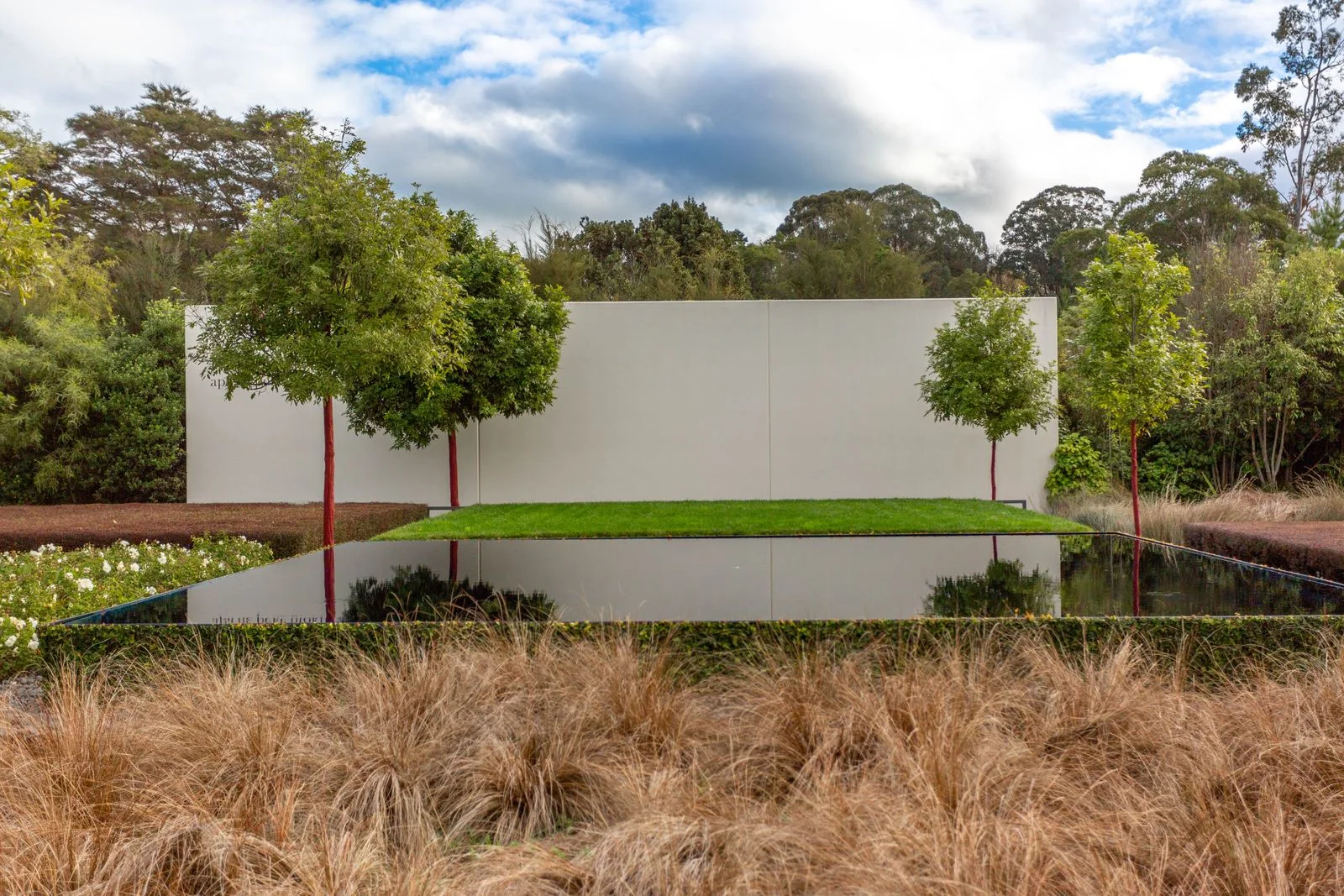 A calm garden water feature surrounded by planting
